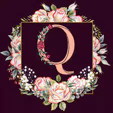 stylish q letter whatsapp dp